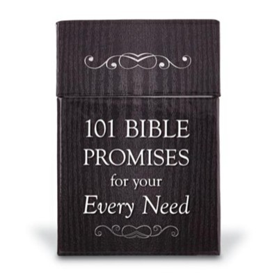 Promises 101 Bible Promises For Your Every Need