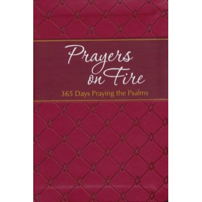 Prayers on Fire 365 Days Praying the Psalms