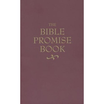 Bible Promise Book KJV
