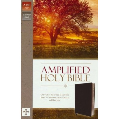 Amplified Bible Black Banded Leather Indexed