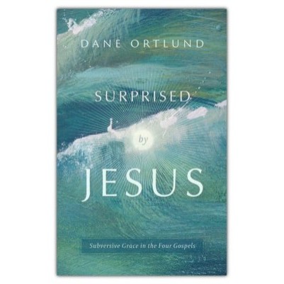 Surprised By Jesus: Subversive Grace in the Four Gospels
