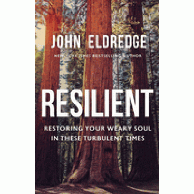 Resilient Restoring Your Weary Soul