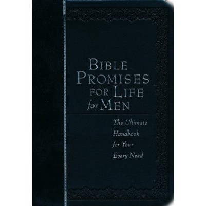 Bible Promises For Life For Men