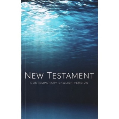 CEV Immerse Yourself New Testament