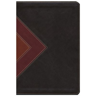 NLT Illustrated Study Brown/Tan