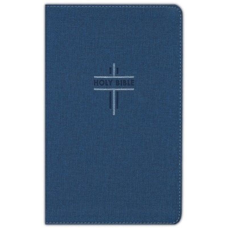 NIV Bible For Teens Thinline Blue Imitation Leather