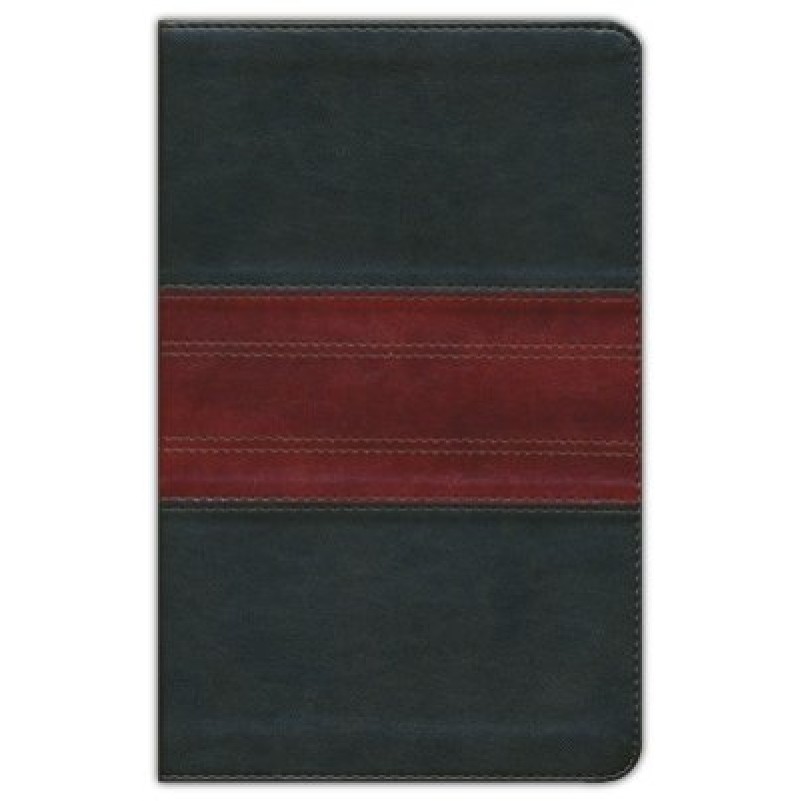 ESV Large Print Personal Forest/Tan Trail Design Cover