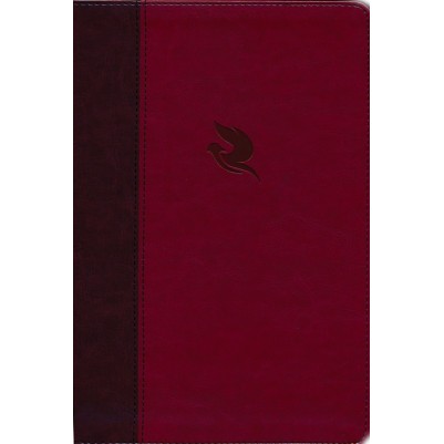 NKJV Spirit-Filled Life Bible 3rd Ed Burgundy I/L