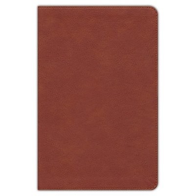 NASB Large Print Personal Size Reference Burnt Sienna